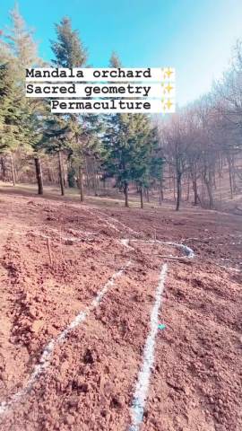 AFTER DIVORCE, SAVE SOMETHING BIG!  Elena Karić walks on the arable land in Kosmaj, a big circle is drawn in the middle of the land, EVERYTHING IS SHOWN!