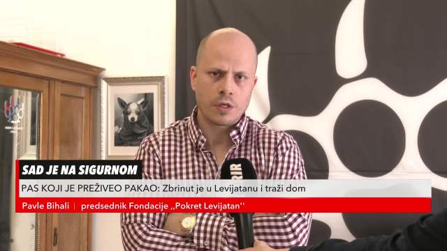 Iz Levijatana o pokušaju mladića da pojede živog psa