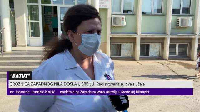 GROZNICA ZAPADNOG NILA DOŠLA U SRBIJU: Zasad registrovana 2 slučaja, a evo koji su SIMPTOMI ovog opasnog virusa!