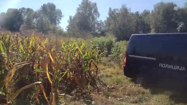 KURIR NA MESTU GDE JE NAĐEN ZAPALJENI PASAT ĐOKIĆA: Policija traži tragove  na zemljanom putu koji vodi do Morave (FOTO/VIDEO)
