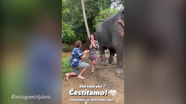 GLUMAC POPULARNE SRPSKE SERIJE ZAPROSIO KOLEGINICU: Marko je pitao da se uda za njega u azilu za slonove! (VIDEO)