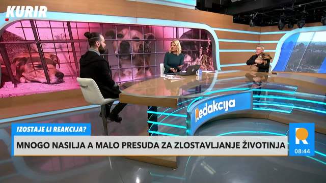 KINOLOG DONEO PRESLATKOG LJUBIMCA U STUDIO KURIR TV!