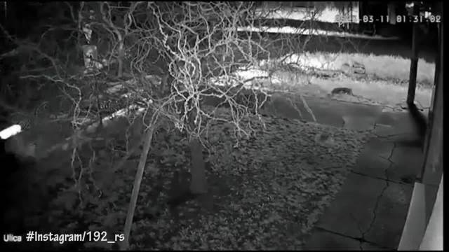 MOGLO JE DA BUDE FATALNO: Vozač u Odžacima imao ludu sreću, dao po gasu pa posle krivine završio u jarku (VIDEO)