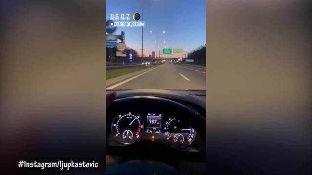 Ljupka divlja po auto putu