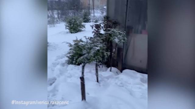 Verica Rakočević pokazala imanje na Avali pod snegom