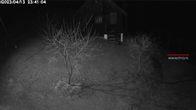 Medved prošetao selom kod Prijepolja