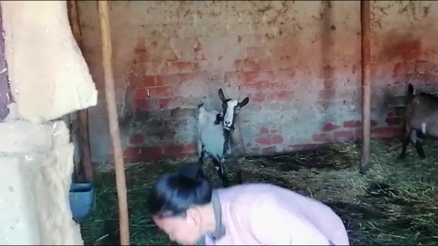 Filipinka i Aleksandar uspeli da se venčaju posle 7 godina